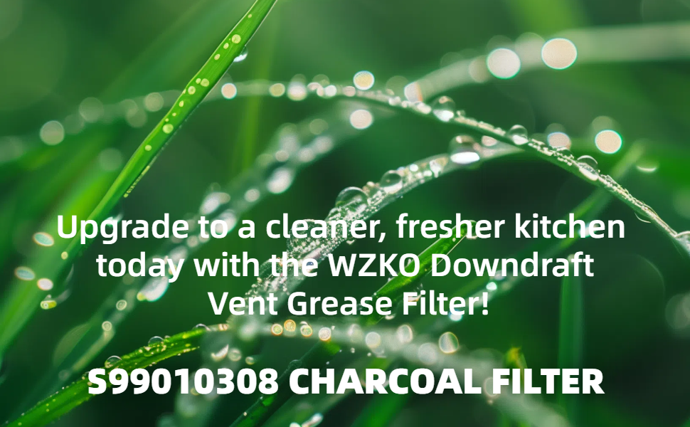 WB02X10707 S99010308 Charcoal Replacement Filter 