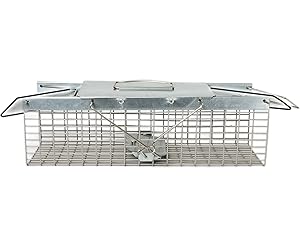 2 door small trap