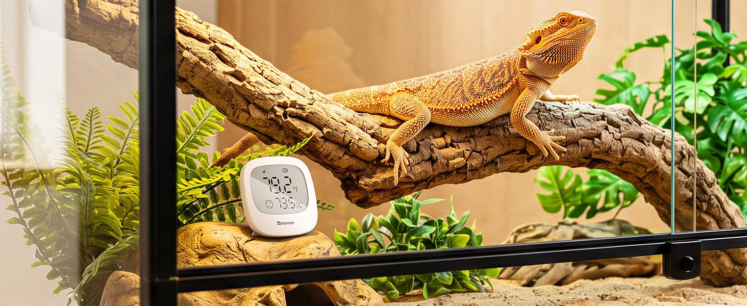 Room Thermometer Indoor Hygrometer, Digital Humidity Meter, APP Remote Alerts