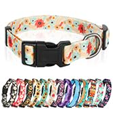 dog collar