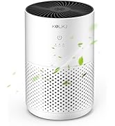 Air Purifiers for Home Bedroom,KQLKJ H13 True HEPA Air Purifier with Fragrance Sponge for Better ...