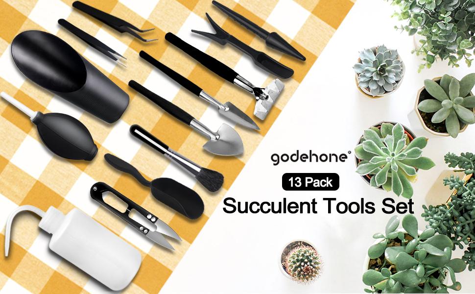 succulent tools