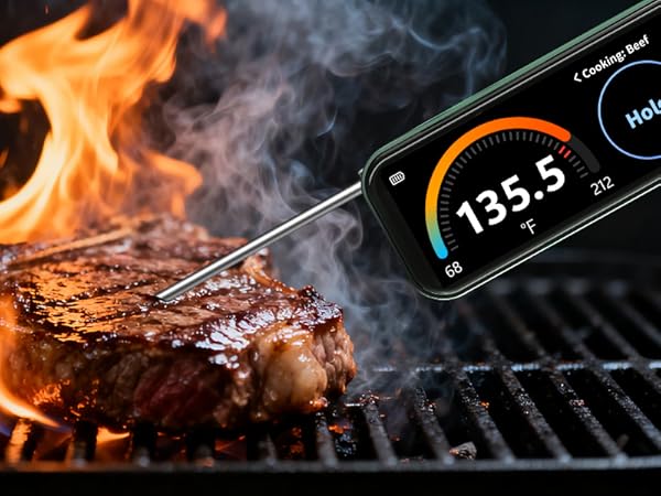Smart Meat Thermometer