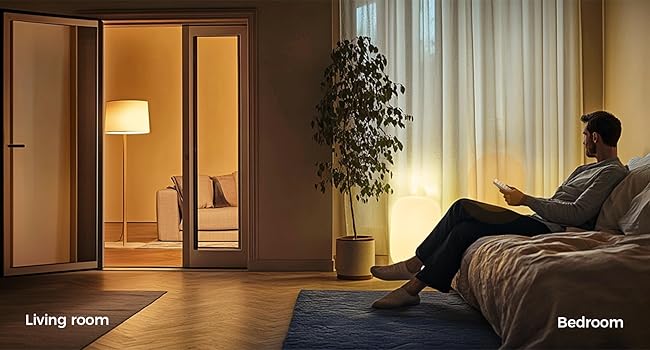 remote outlet switch