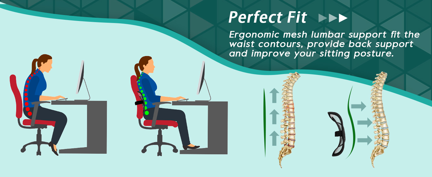 mesh lumbar support