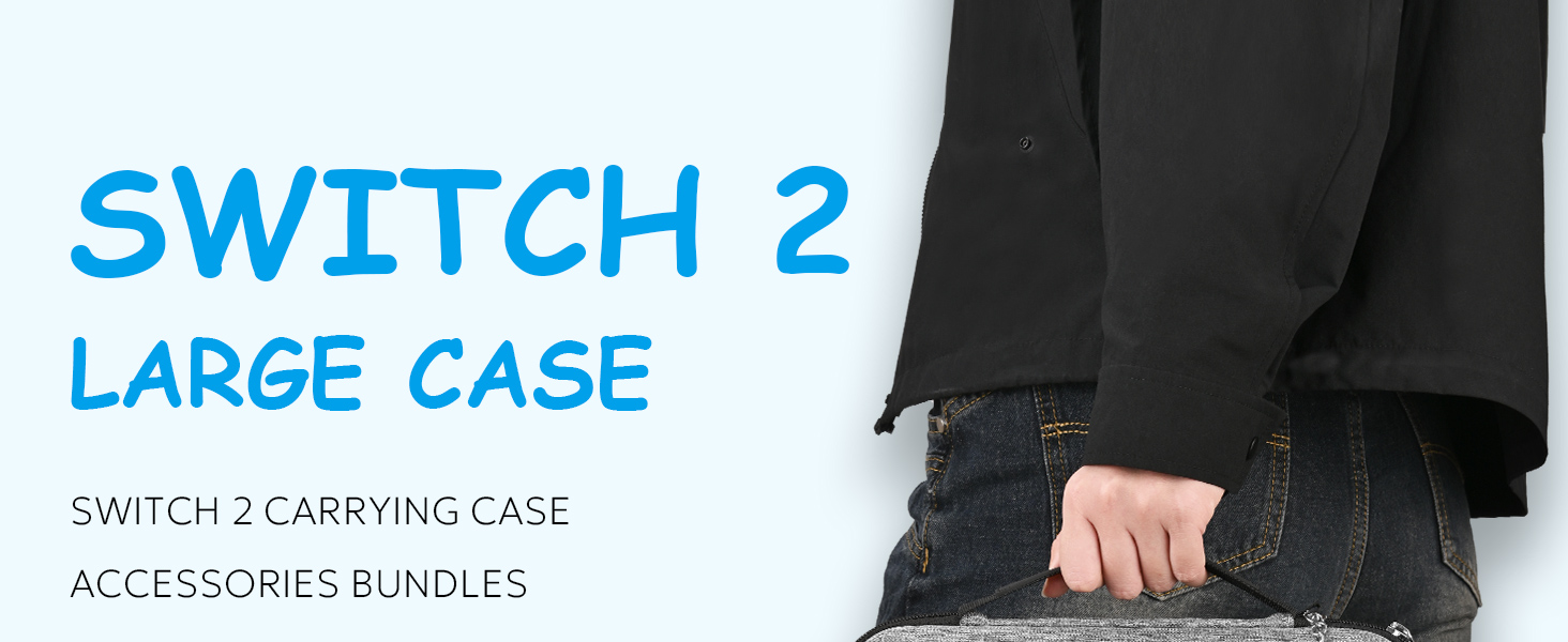 switch 2 case gray