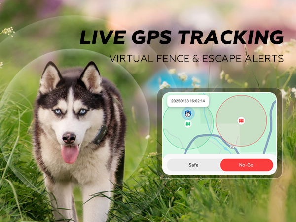 Live GPS Dog Tracker