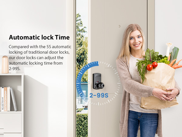 Keyless entry door lock