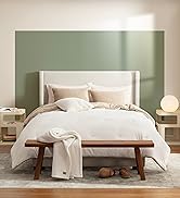 Comforter Set 5 Piece Bed in a Bag