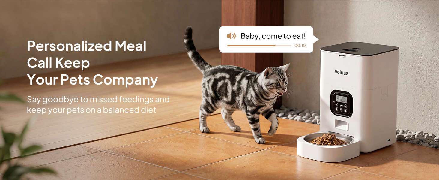 Automatic Cat Feeders