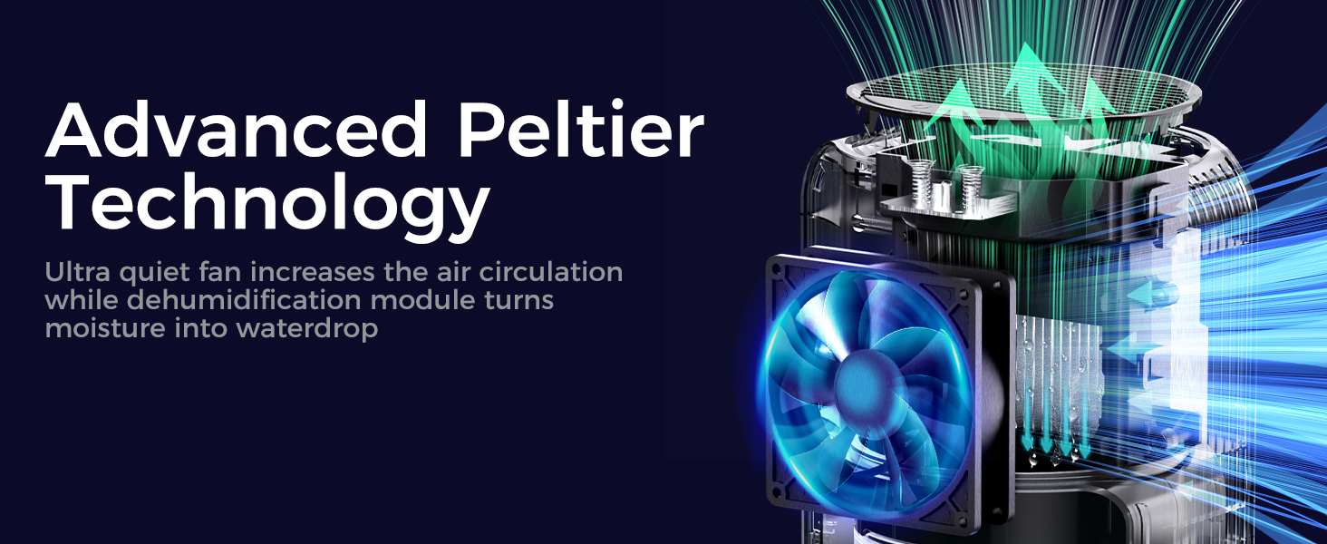 dehumidifier