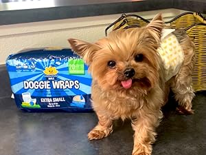 yorkie wearing an XS Wrap next to package of bodhi dog wraps