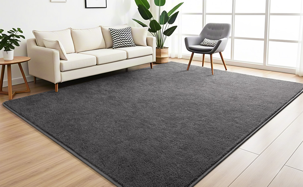 Dark Grey Area Rug