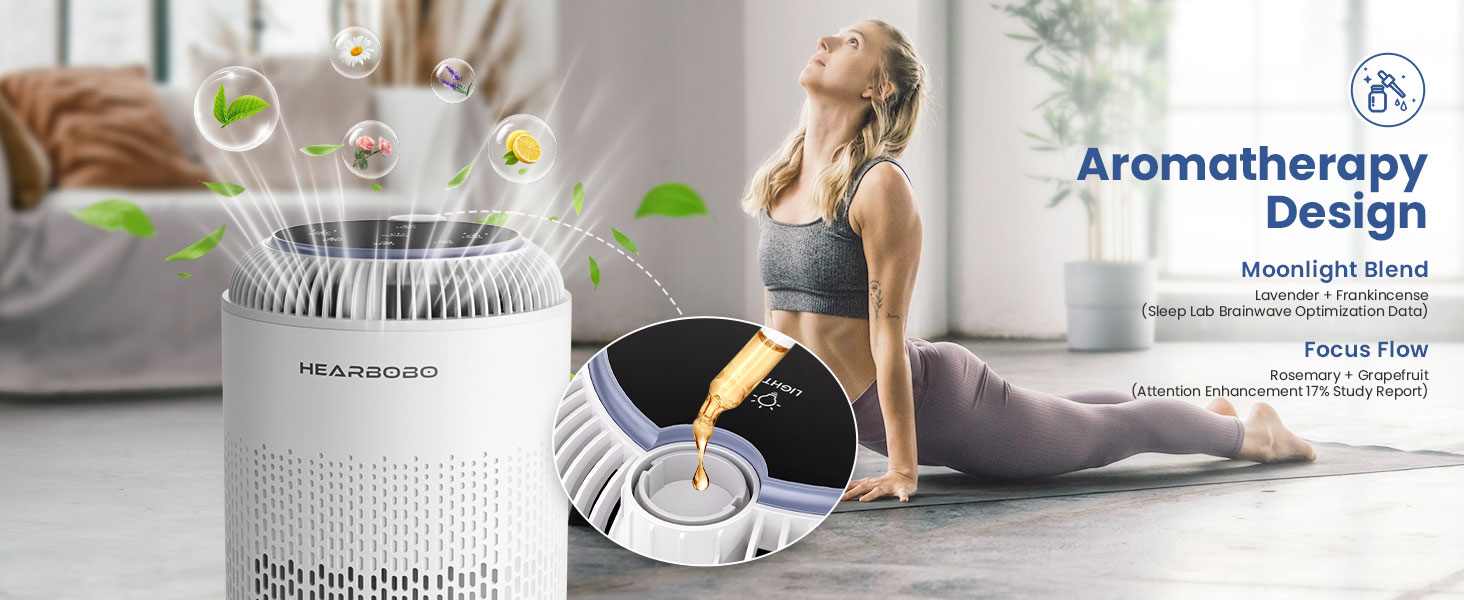 air purifiers for home large room