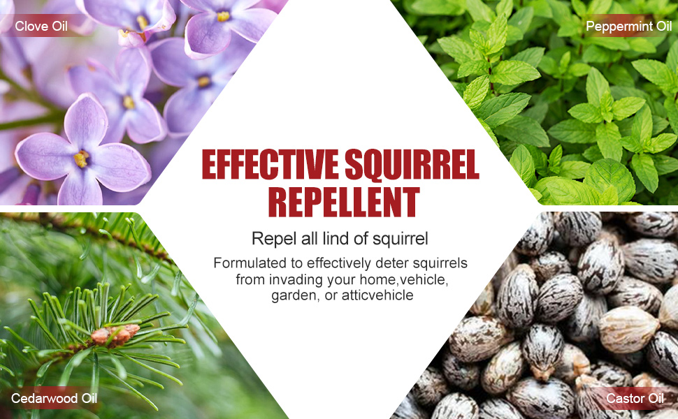 squirrel repellent includ