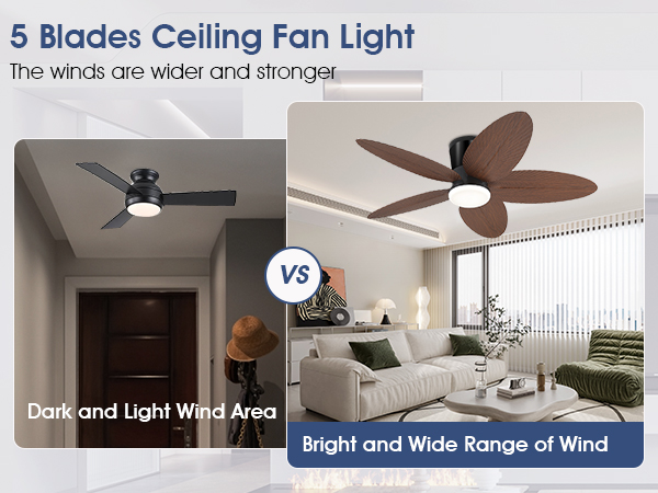 ceiling fan