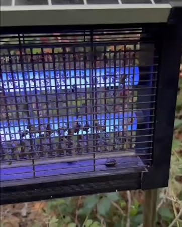 mosquito zapper