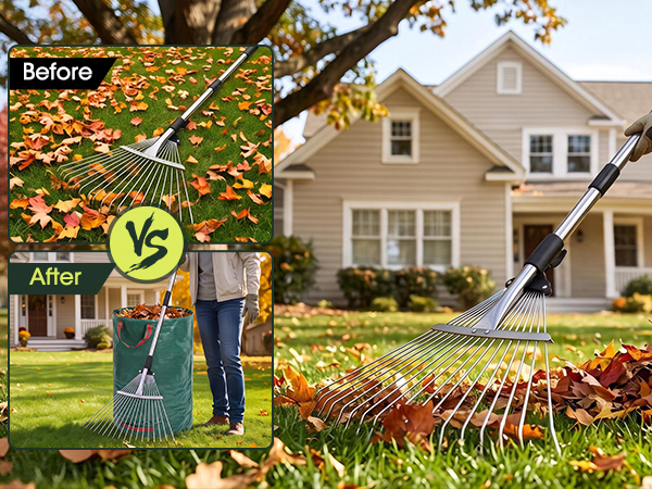 Rake for Leaves