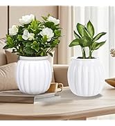 Qhzxcvlk 2 Pack Self Watering Planters Indoor Flower Pots, 5.1 Inch Clear African Violet Pots for...