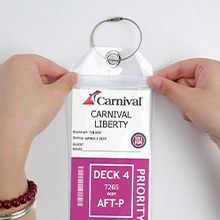 8-Pack Luggage Tag