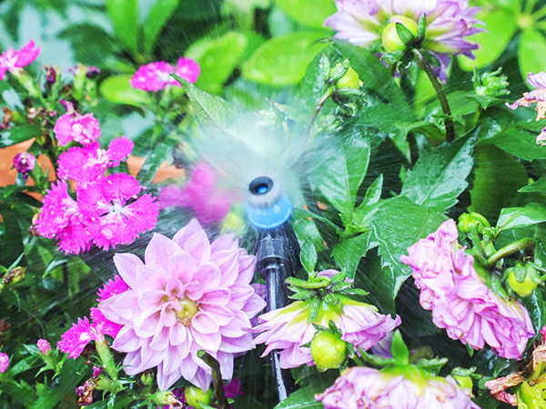 quick connect drip irrigation system