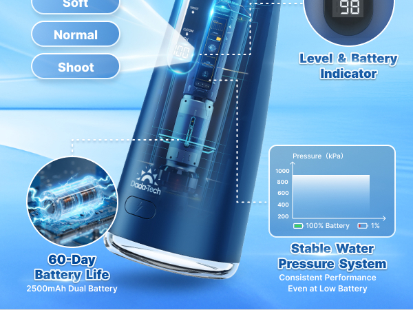 cordless water flosser