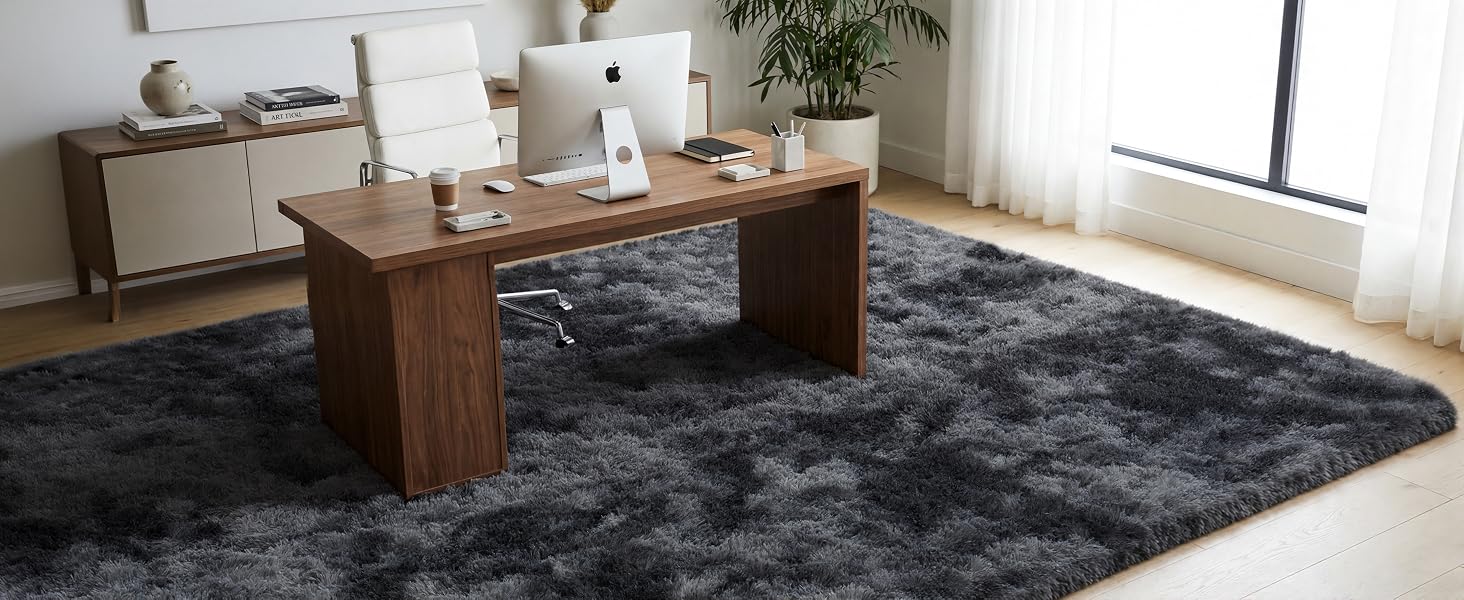 Rug for Office
