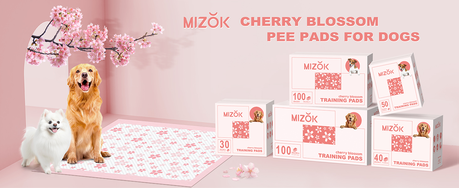 Dog pee pads
