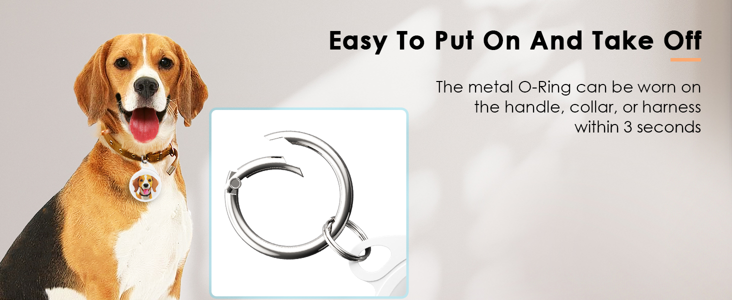 smart pet tag
