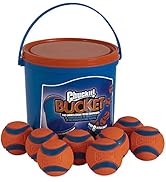 Chuckit! Ultra Ball Dog Toy with Chuckit! Cleaning Bucket Bundle - Bouncy Fetch Pet Toys For Dogs...