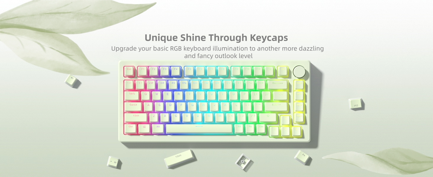 Womier Mechanical Keybaord Keycaps Pudding, PBT Cute Keycaps, Shine Through Key Cap