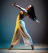 RaLeno 80W LED Studio Video Light Webcam, with Efficient Cooling Fan Continuous Lighting 5600K CR...