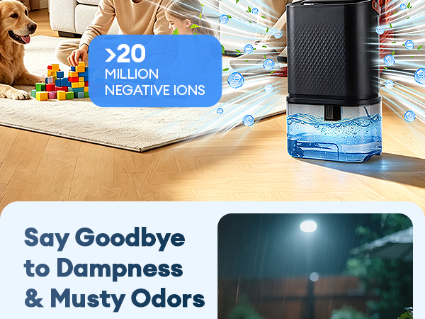 Dehumidifier for Home