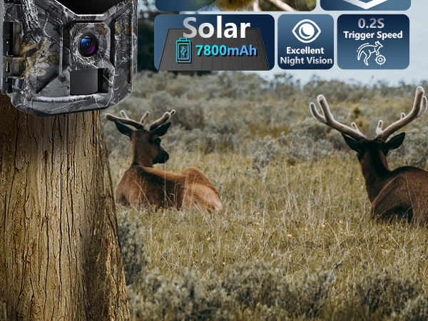 Solar Trail Camera 4K