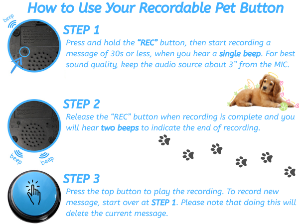 voice recording button instruction