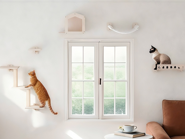 above the window
