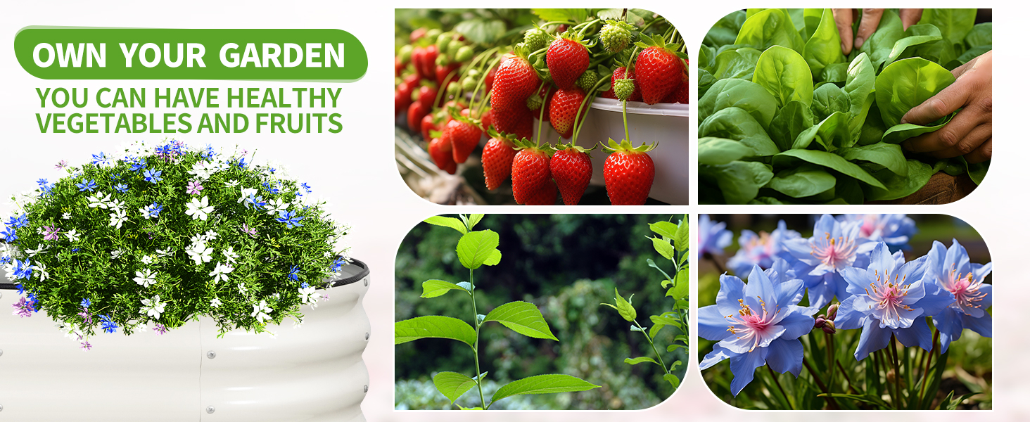 raised galvanized bed