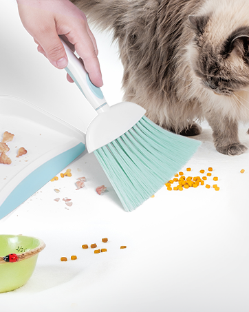 Small Dust Pan and Brush Set