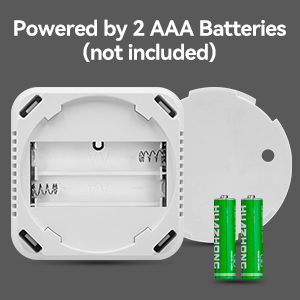 carbon monoxide detectors battery