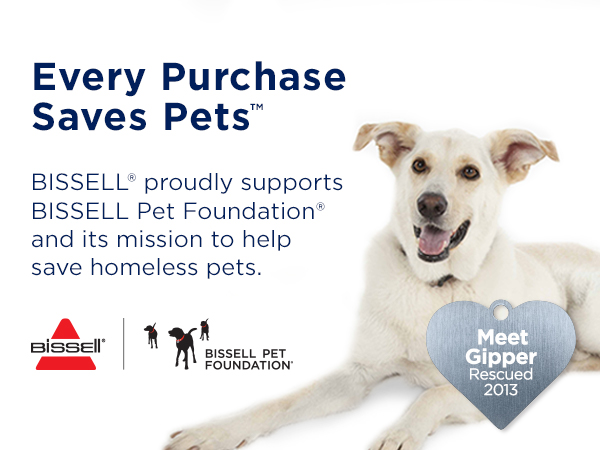 spot and stain formula, carpet shampoo, carpet cleaner, carpet cleaner formula, stain remover