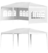 FDW 10'x20' Outdoor Canopy Party Wedding Tent Garden Gazebo Pavilion Cater Events -4 Removable Si...