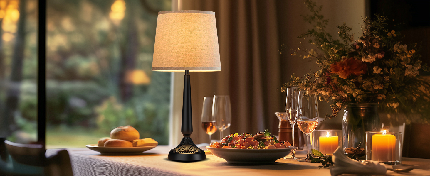 Cordless Table Lamp