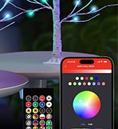 Ariceleo 2FT Lighted Birch Tree with RGB LED Lights, USB Powered, Timer &amp; APP Control, 24 LED, Ta...