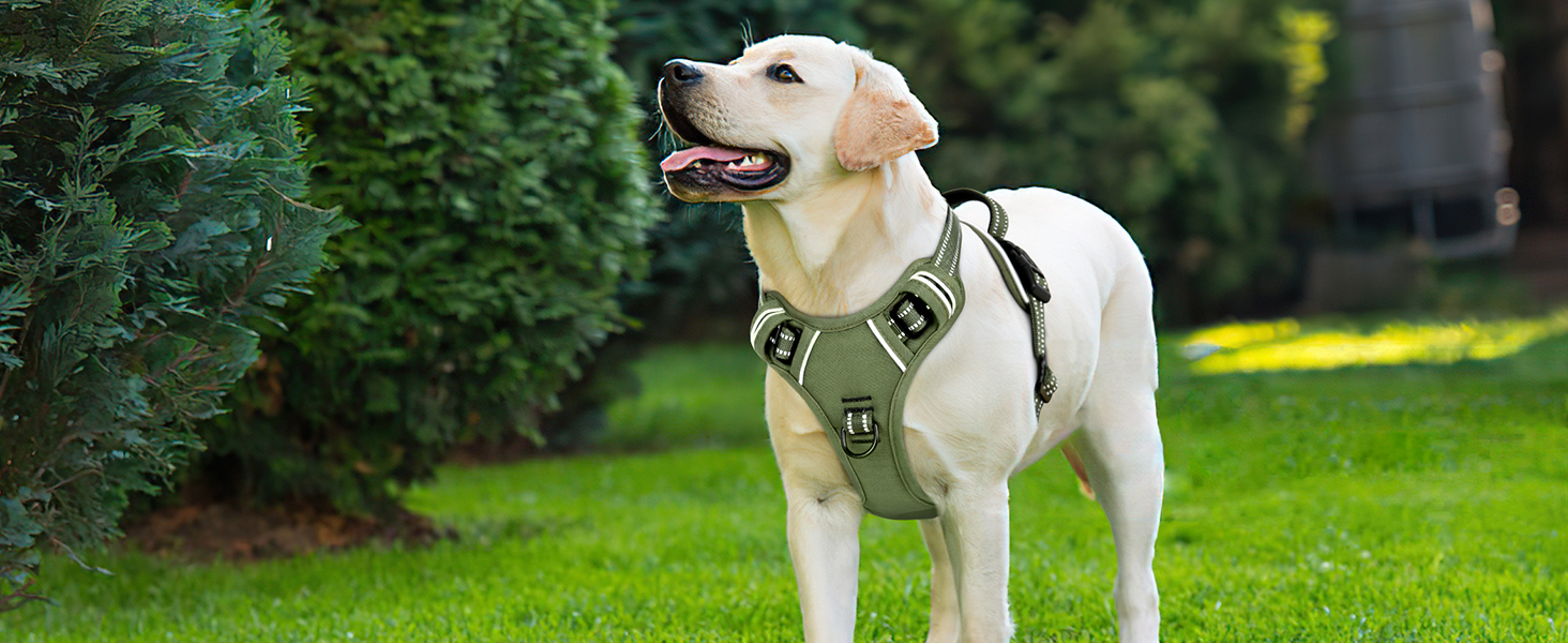 dog harness large size dog