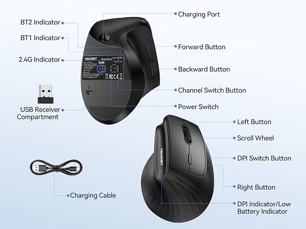 MOUSE