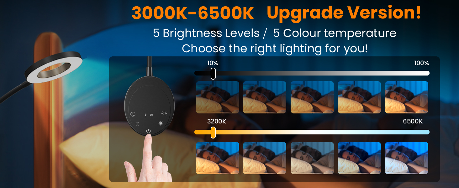 Wall Mounted Reading Light