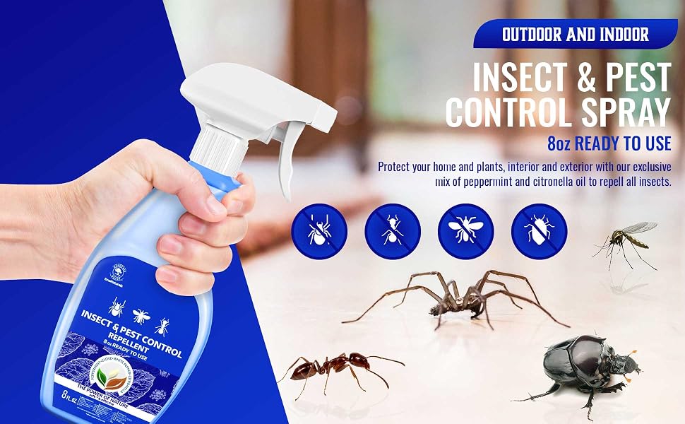 insect spray