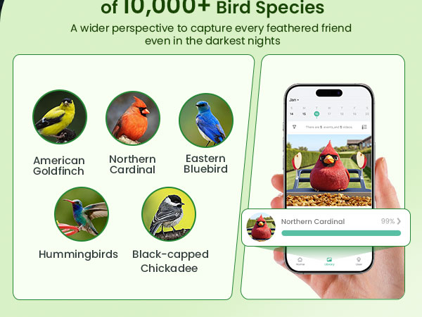 smart bird feeder with camera