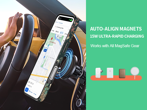 iphone 17 Pro max phone case