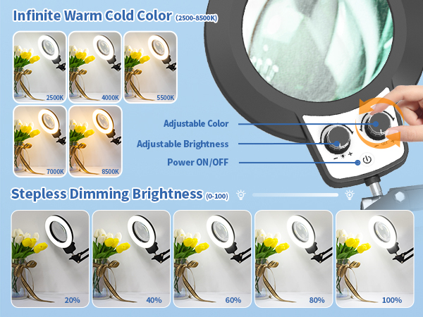 Infinite color and infinite dimming magnifying glasses for close work craft light workbench light
